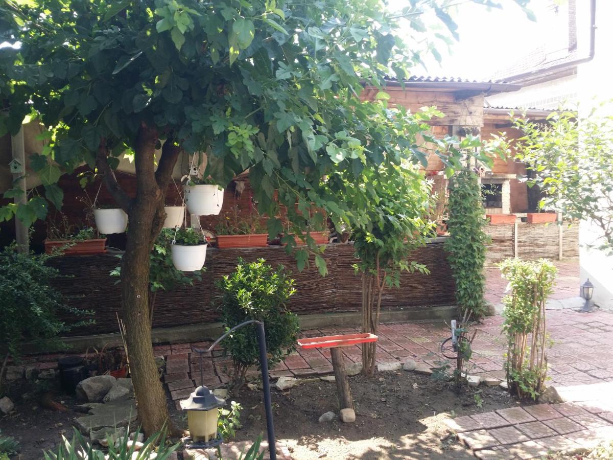 Casa Trandafirilor Hotel Tulcsa Kültér fotó