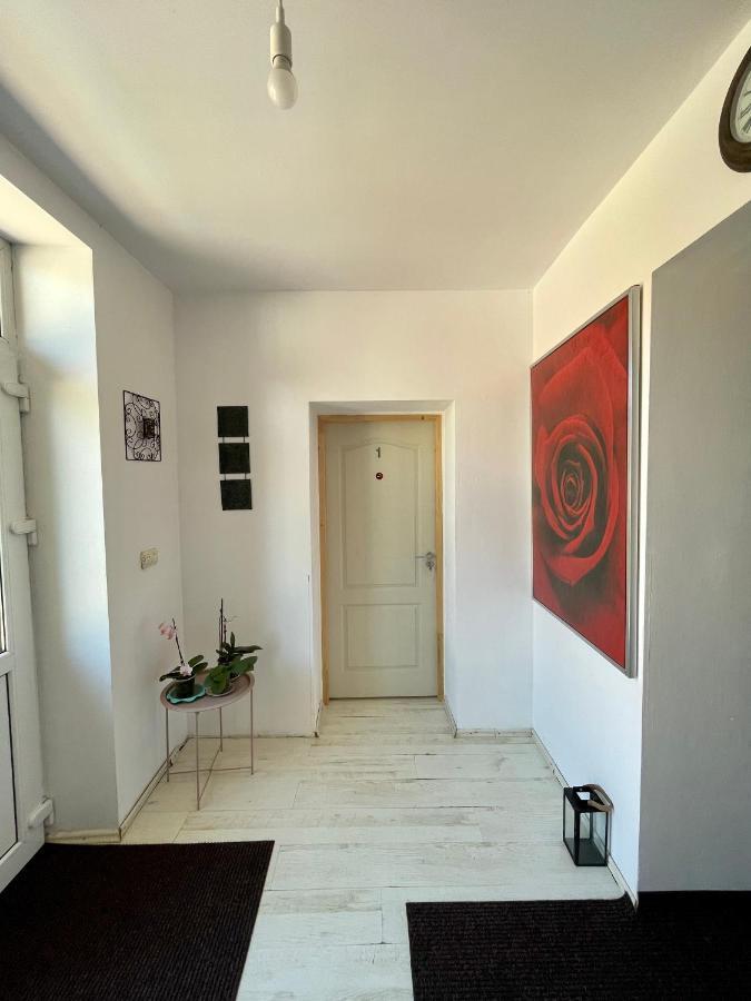 Casa Trandafirilor Hotel Tulcsa Kültér fotó