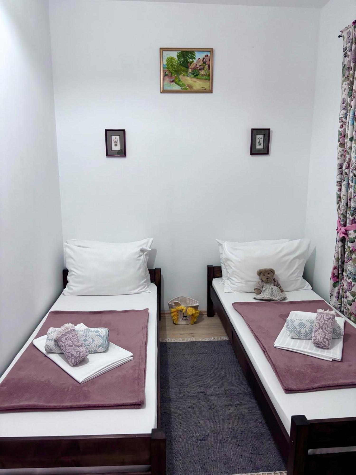 Casa Trandafirilor Hotel Tulcsa Kültér fotó